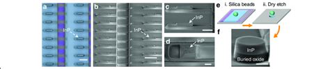 Laser Demonstrations Using The Epitaxial InP Sub Micron Wires And