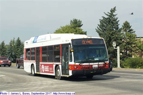 Red Deer Transit