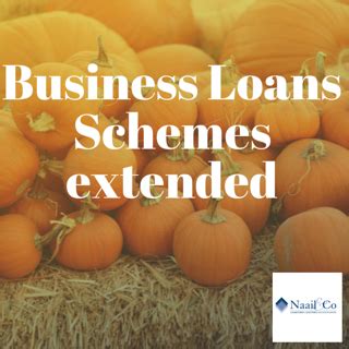 Business loan schemes extended - Naail & Co