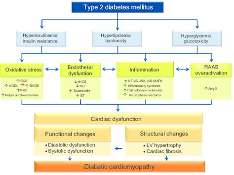 Metabolic And Cellular Abnormalities Associated With Type 2 Diabetes