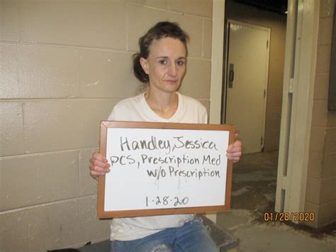 Jessica Handley Marion County Mugshots Zone