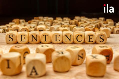 Câu Phức Complex Sentence Trong Tiếng Anh Là Gì Cách Xác định