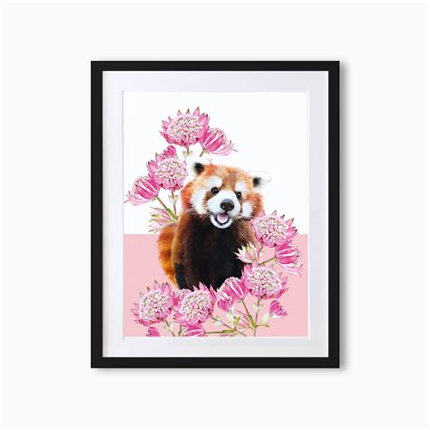 Red Panda Art Print Zsl Shop