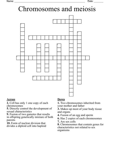 Chromosomes And Meiosis Crossword Wordmint