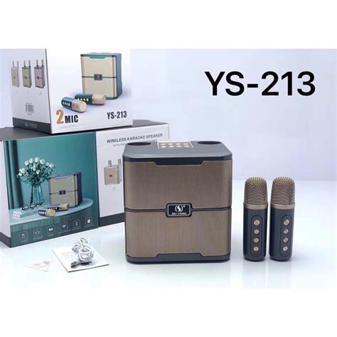 Loa Bluetooth YS 213 kèm 2 micro karaoke không dây công suất 35 W