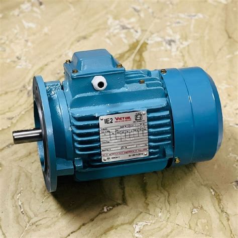 Ie Foot Cum Flange Mounted Motor Hp At Rs In New Delhi Id