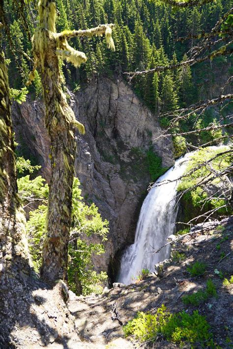 Clear Creek Falls Dropping From White Pass To Rimrock Lake