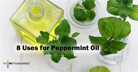 8 Uses for Peppermint Oil - PositiveMed