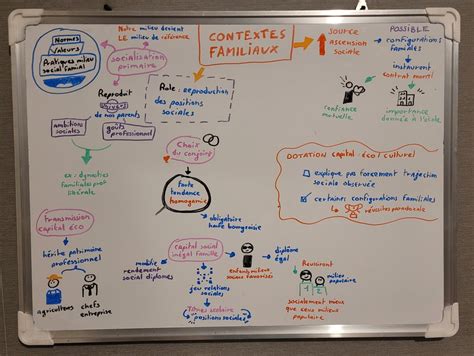 Les Contextes Familiaux Diagram Quizlet