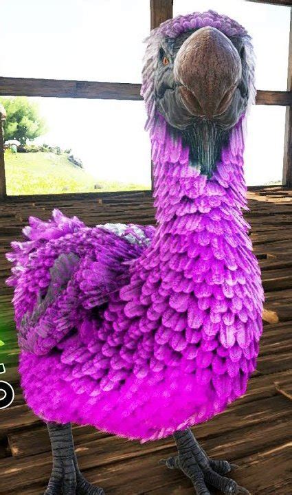 Mira B B Dodo Wiki Ark Survival Evolved Rp Fr Amino