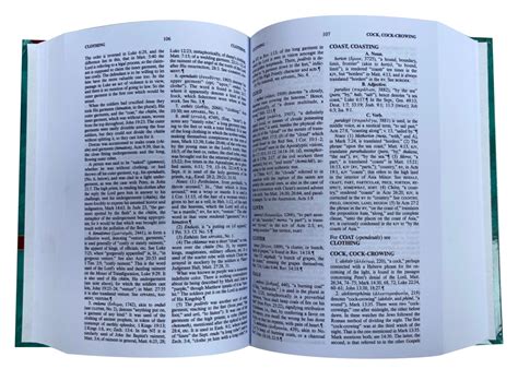 Vine S Complete Expository Dictionary Of Old And New Testament Words