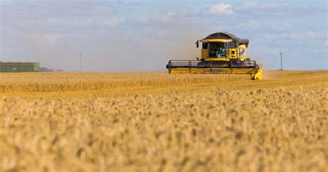 When Are Multi Peril Crop Insurance Mpci Deadlines Fbn