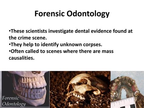 Forensic experts explain how they caught the john emil list killer 13