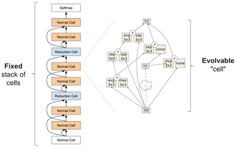 Using Evolutionary Automl To Discover Neural Network Architectures