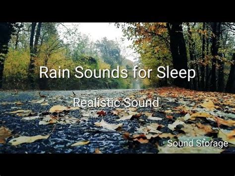 Rain Sound For Sleep Rainyday Falling Realistic Sound Soothing Rain