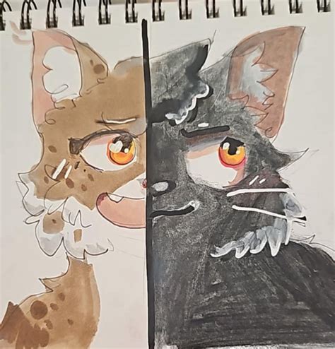 Sunbeam X Nightheart Warrior Cats