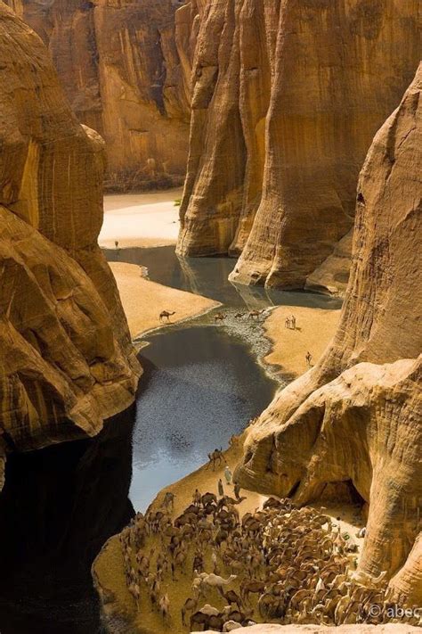 La Guelta D Archei Un Oasis En Medio Del Desierto Del Sahara Paysage