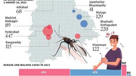 Stagnant Water Breeds Mosquitoes The Hindu