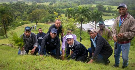 Unidad T Cnica Ejecutora De Proyectos De Desarrollo Agroforestal De La