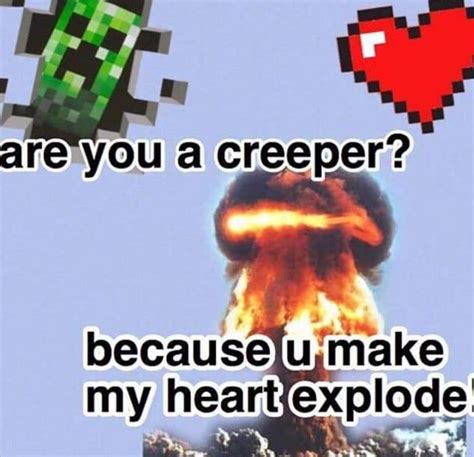 Cute Minecraft Pick Up Lines - reespomryir