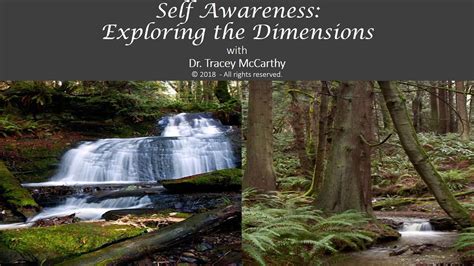 Self Awareness Exploring The Dimensions With Dr Tracey Mccarthy Youtube