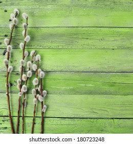 Pussy Willow Twigs On Wood Background Stock Photo Shutterstock