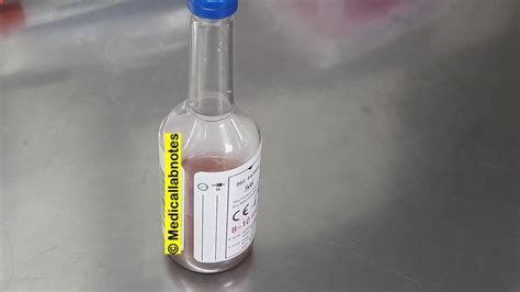 Burkholderia Cepacia Introduction Morphology Pathogenicity