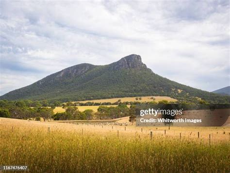 327 Sheep Hills Victoria Stock Photos High Res Pictures And Images