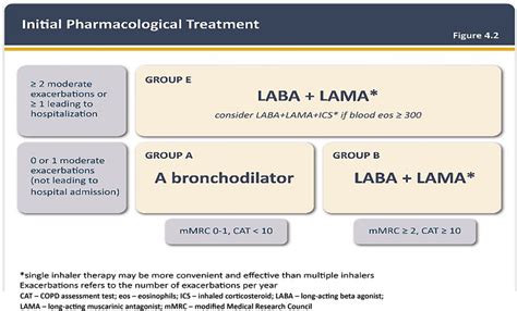 The 2023 Gold Report Updated Guidelines For Inhaled Pharmacological Therapy In Patients With