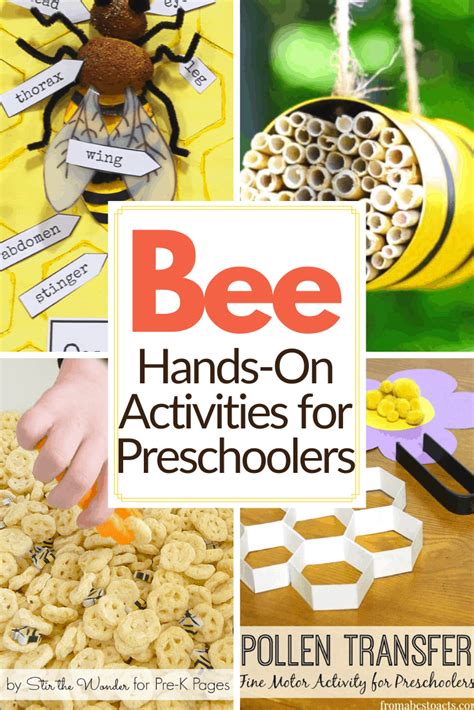 Exploring Bees for Kids: Fun Facts & Activities