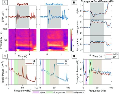 Stimulus Induced Gamma Response In An Example Subject A Trial