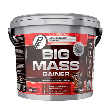 Big Mass Gainer Chocolate Life