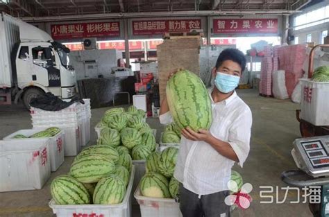 南环桥批发市场西瓜日销量突破1000吨 名城苏州新闻中心