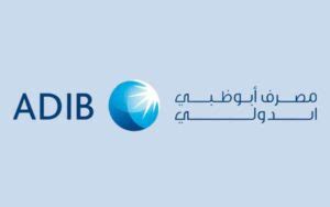 What Is Rim Number In Banking Adib Explained In Simple Terms Khaleejfeed