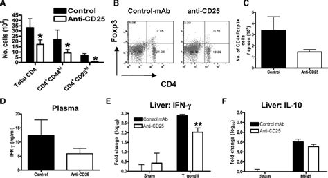 Anti Cd25 Administration Depletes Activated Cd25 ϩ T Cells And Download Scientific Diagram