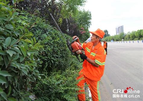 河南寶豐公路部門多措並舉助力汽車拉力賽 每日頭條