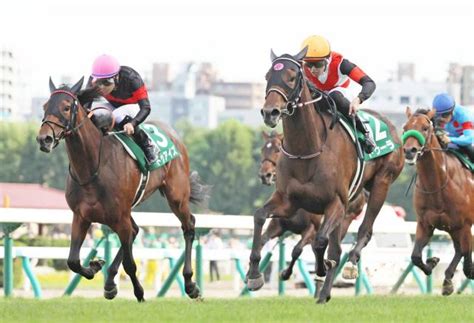 【阪神jf】ドゥアイズ、粗削りも強い競馬で札幌2歳s2着 本番が楽しみ 競馬ニュース Netkeiba