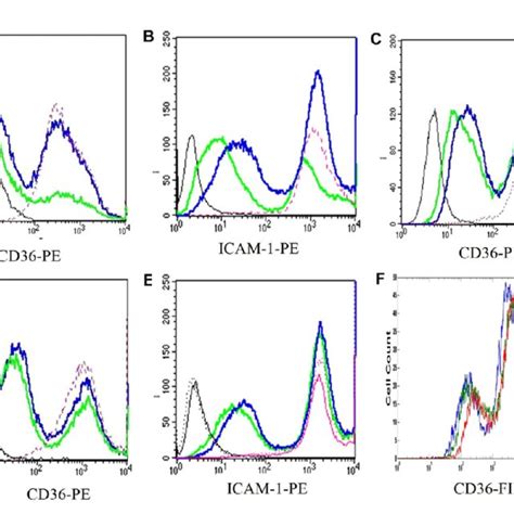 Physical transfer of membrane proteins in CHO cells. (A-C ...