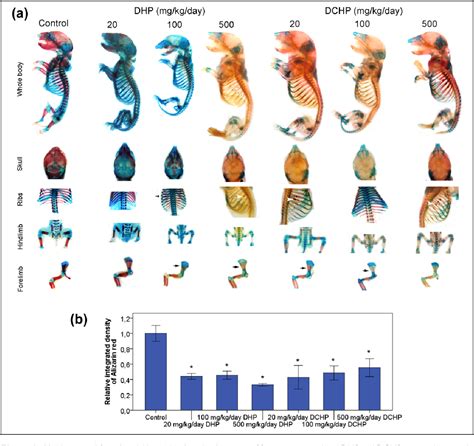 Figure 1 From Comparative Developmental Toxicity Evaluation Of Di N