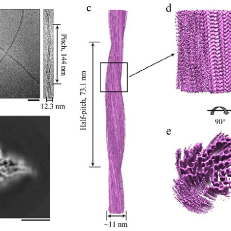 Cryo Em Structure Of Sod Fibrils A Raw Cryo Em Image Of Amyloid