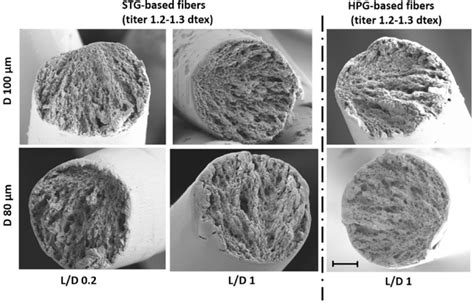 The Morphologies Of The Spun Fibers Of Standard Titer Spun Using 100 Lm