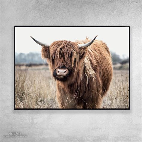 Highland Cow Print Highland Cow Posterbuffalo Wall Art Etsy