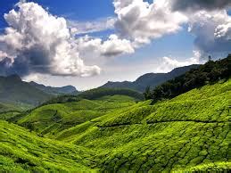 Banglore Mysore Coorg Ooty Kodaikanal Tour Package 128989 Holiday