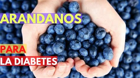 ARANDANOS para la Diabetes Los diabéticos pueden COMER ARANDANOS