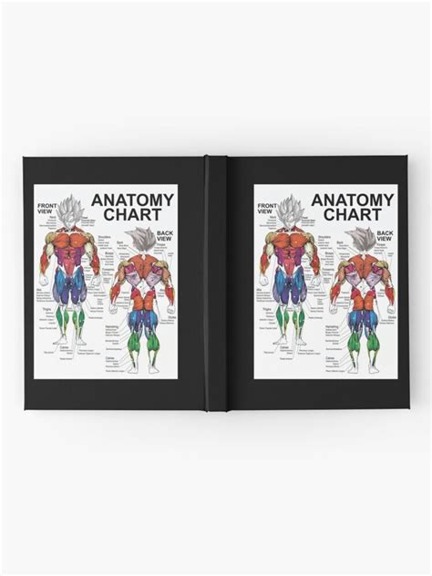 Saiyan Anatomy Chart Muscle Diagram Anime Workout Classic