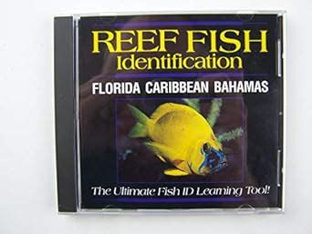 Reef Fish Identification Florida Caribbean Bahamas Humann Paul