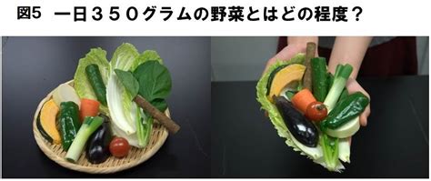 野菜を一日350g食べよう！｜栄養（食事）｜今月のトピックス｜公益財団法人 日本心臓財団