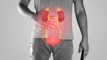 Glomerulonephritis Management | Nephrologists in Delaware