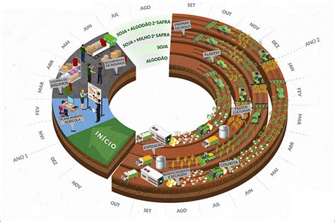 CHBAGRO Calendário de Plantio e Colheita para Cana de Açúcar e Grãos