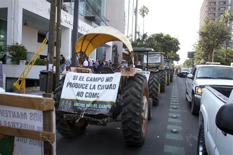 La Jornada Productores de maíz advierten a ver qué comen